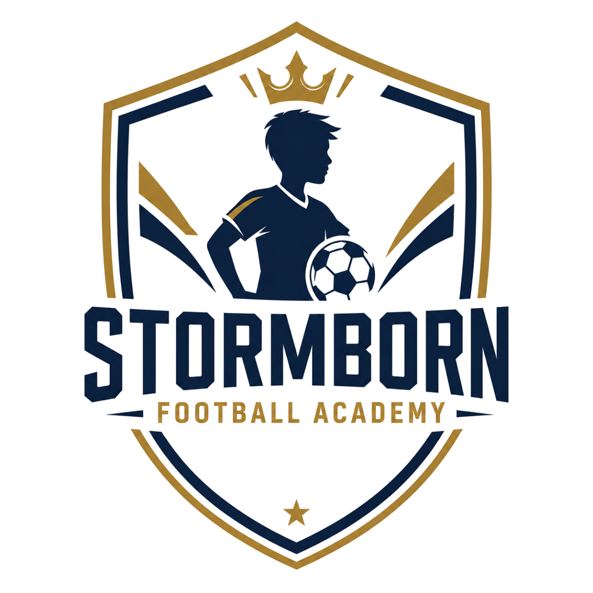 Stormborn Football Academy logo